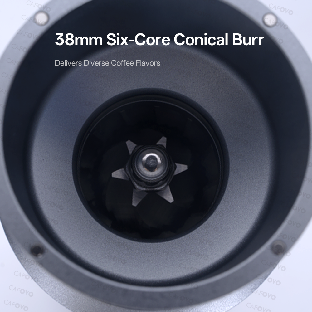 CAFOVO FR-G248C-Mini Electric Coffee Grinder With 38mm 6-Core Conical Burr For Espresso American Coffee
